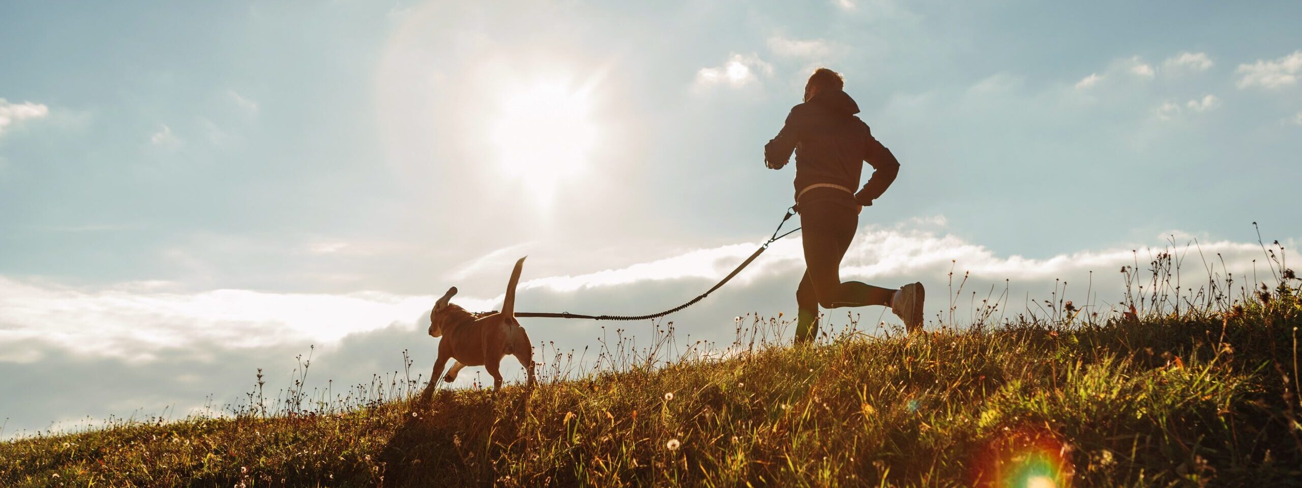 Home-2nd-Image-scaled